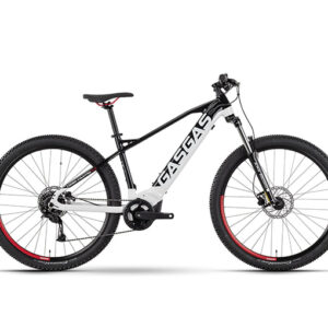 e-bike-gas-gas-cross-g-country-20