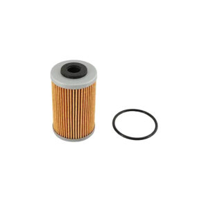 filtro-olio-77038005044