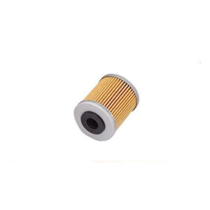 filtro-olio-corto-75038046100